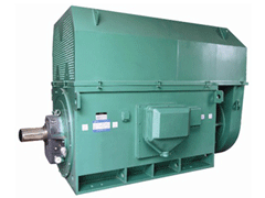 YE2-315S-6Y系列6KV高压电机
