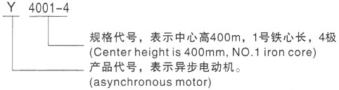 西安泰富西玛Y系列(H355-1000)高压YE2-315S-6三相异步电机型号说明