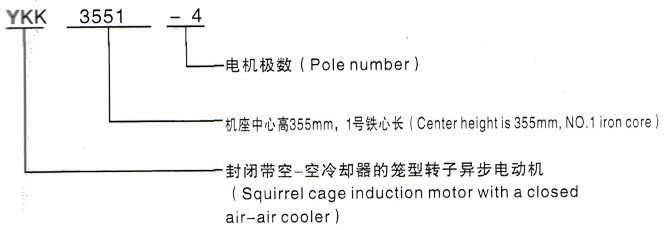 YKK系列(H355-1000)高压YE2-315S-6三相异步电机西安泰富西玛电机型号说明