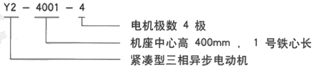 YR系列(H355-1000)高压YE2-315S-6三相异步电机西安西玛电机型号说明